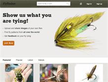 Tablet Screenshot of flyflasher.com